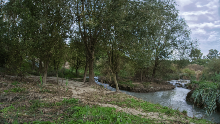 río segura