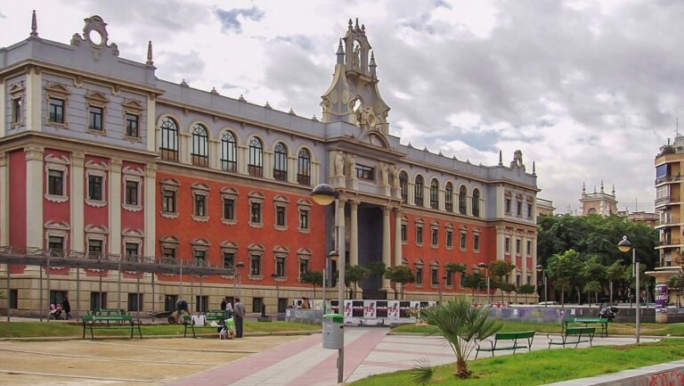 universidades murcia
