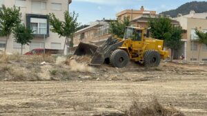 limpieza solares