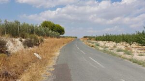 alguazas arco noroeste