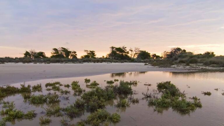 Espacios Naturales de la Región