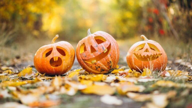 Filmoteca Halloween