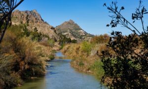 playa fluvial Murcia