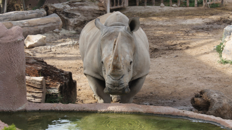 Terra Natura Murcia Navidad