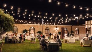 las noches del palmeral
