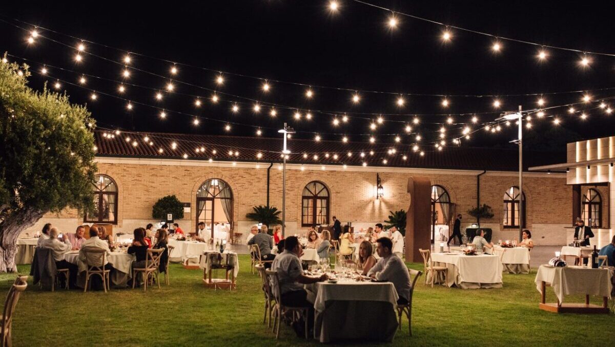 las noches del palmeral