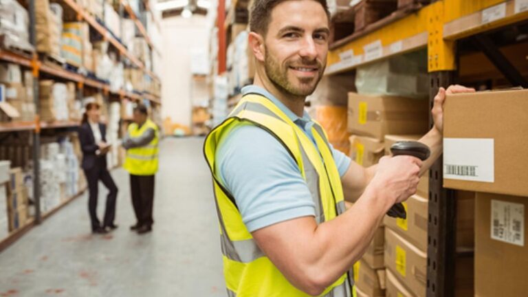 sectores oportunidades empleo
